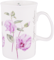 ASHDENE Mug  Sturt Desert Rose (Bone China)