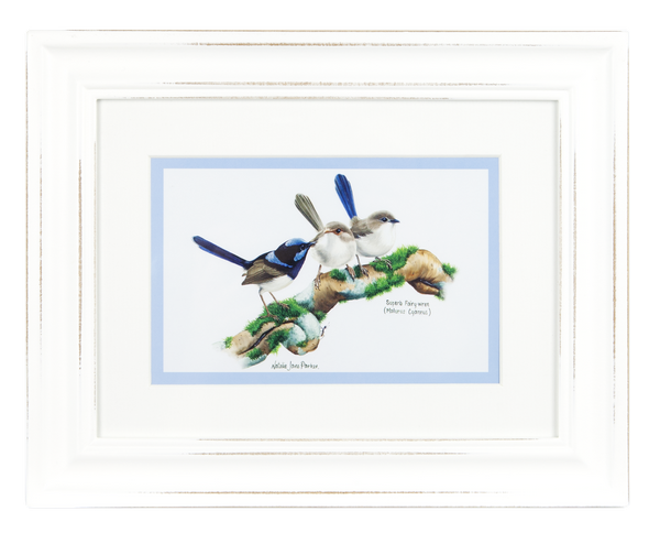 ASHDENE Framed Print Birds of Australia Wren