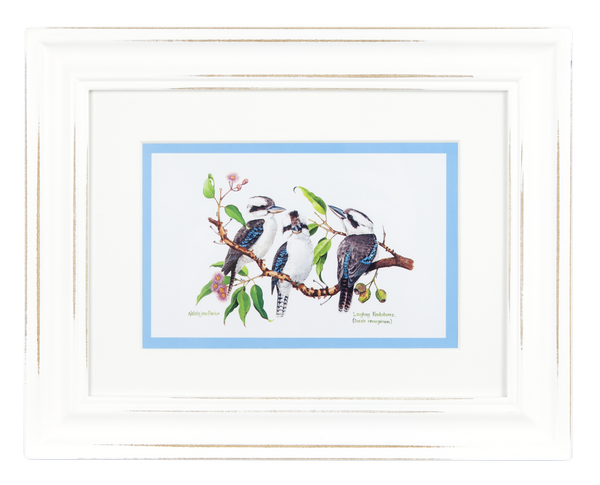 ASHDENE Framed Print Birds of Australia Kookaburra