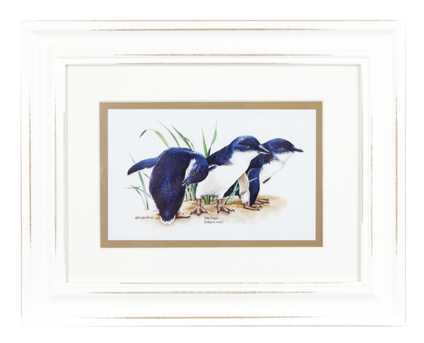 ASHDENE Framed Print Birds of Australia Penguin