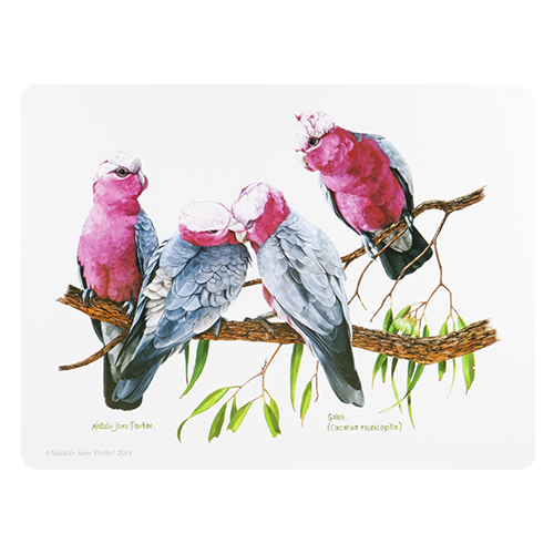 ASHDENE Placemat Birds of Australia Galah
