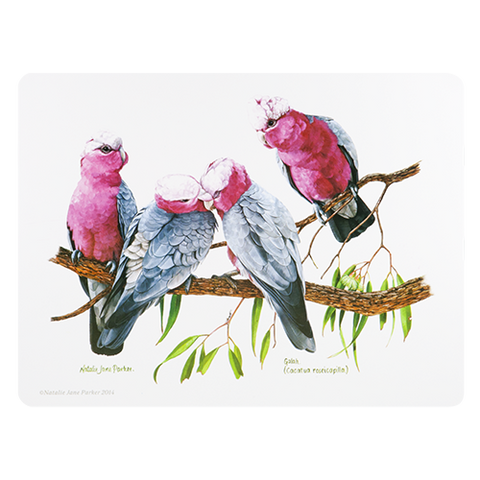 ASHDENE Placemat Birds of Australia Galah