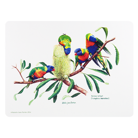 ASHDENE Placemat Birds of Australia Lorikeet