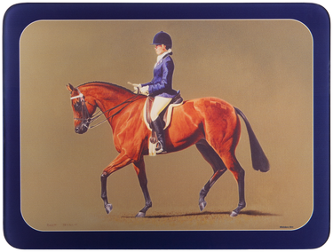 ASHDENE Surface Saver Equestrian