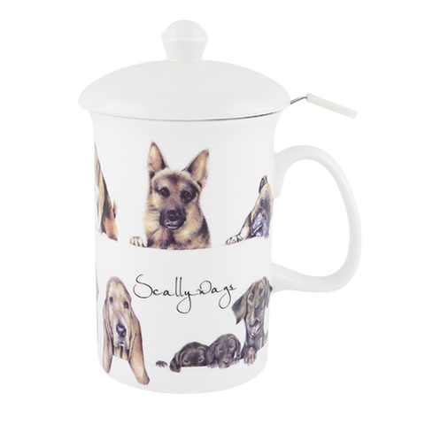 ASHDENE 3 PC Infuser Scallywags