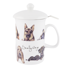 ASHDENE 3 PC Infuser Scallywags