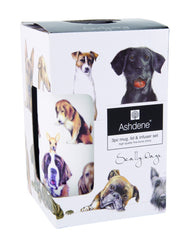 ASHDENE 3 PC Infuser Scallywags