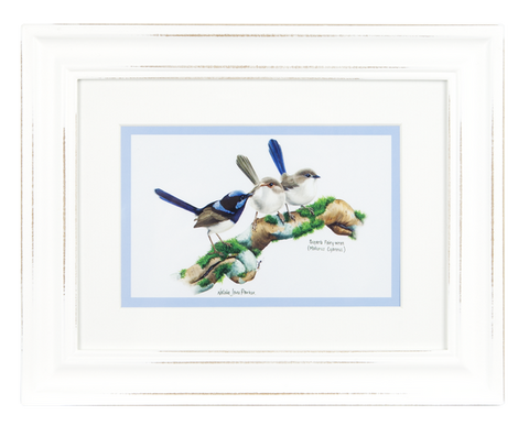 ASHDENE Framed Print Birds of Australia Wren