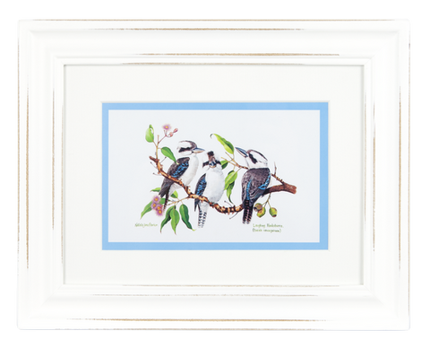 ASHDENE Framed Print Birds of Australia Kookaburra