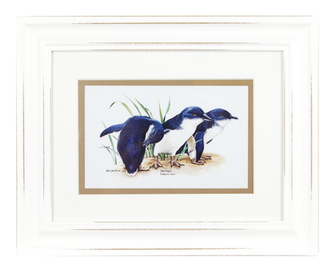 ASHDENE Framed Print Birds of Australia Penguin