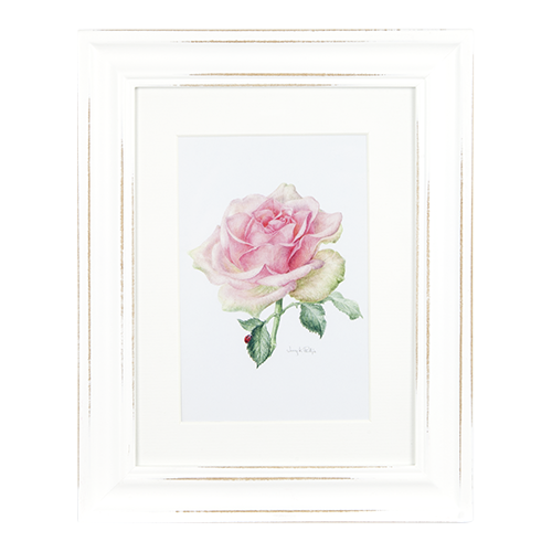 ASHDENE Framed Print The Rose Enchanted