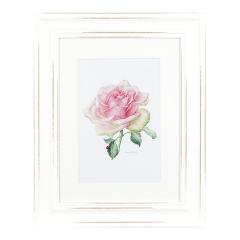 ASHDENE Framed Print The Rose Enchanted