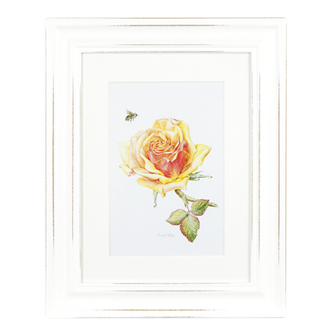 ASHDENE Framed Print The Rose Tango