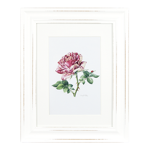 ASHDENE Framed Print The Rose Matisse