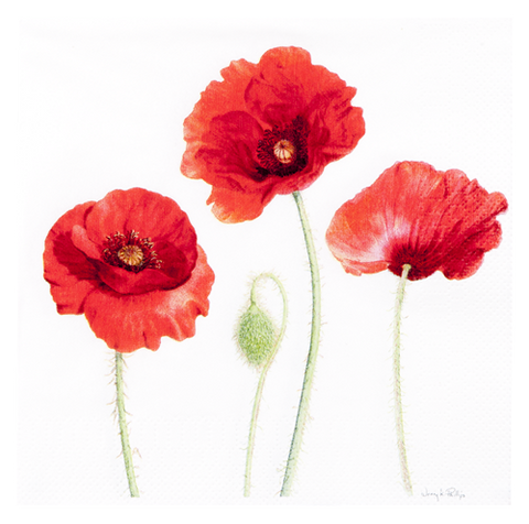 ASHDENE Napkins Poppies
