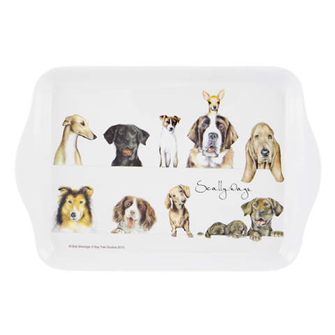 ASHDENE Scatter Tray  Scallywags