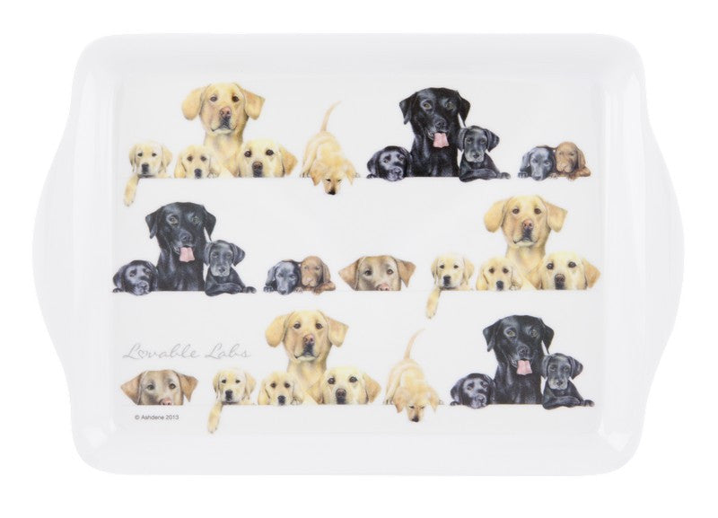 ASHDENE Snack Tray  Lovable Labs