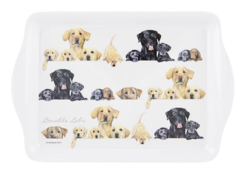 ASHDENE Snack Tray  Lovable Labs
