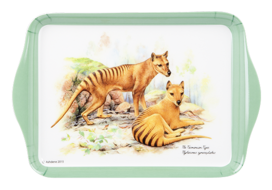 ASHDENE Scatter Tray Tasmanian Tiger