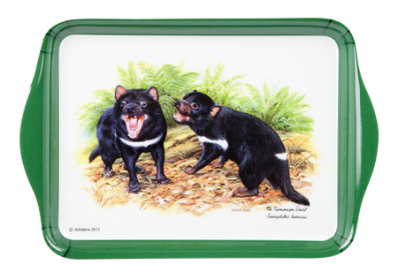 ASHDENE Scatter Tray Tasmanian Devil