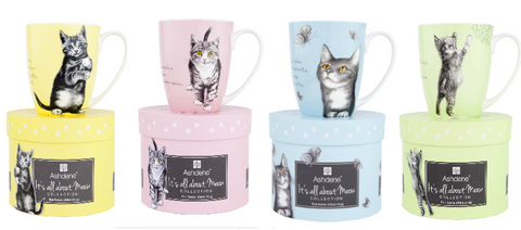 ASHDENE It's All About Meow Mug Set of 4