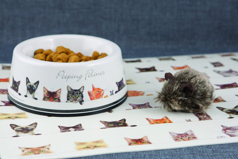 ASHDENE Small Pet Bowl and Mat Set Peeping Felines