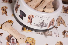 ASHDENE Small Pet Bowl and Placemat Set Scallywags