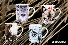 ASHDENE Mug  Set of 4 Wilderness  (Bone China)